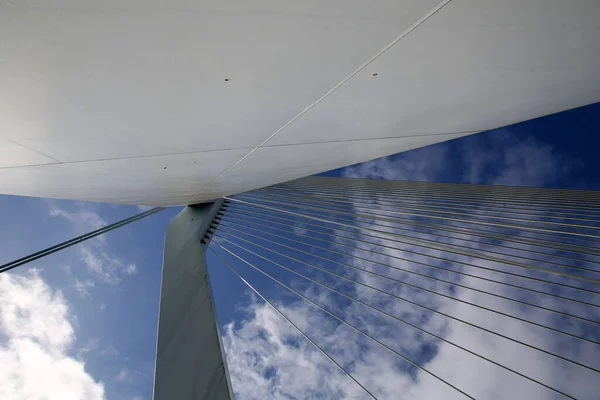Ponte Erasmus Sul Maas Sul Fiume Mosa Rotterdam Seconda Città — Foto Stock
