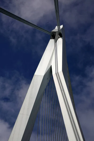 Ponte Erasmus Sul Maas Sul Fiume Mosa Rotterdam Seconda Città — Foto Stock