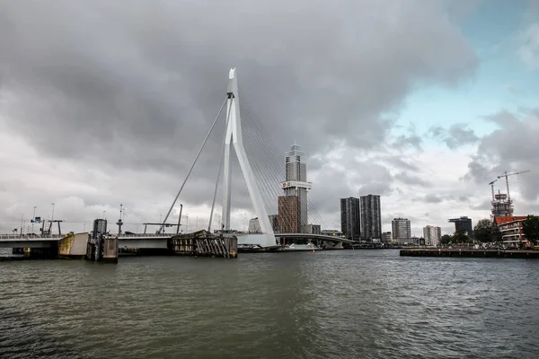 Roterdão Países Baixos Outubro 2021 Ponte Erasmus Sobre Rio Maas — Fotografia de Stock