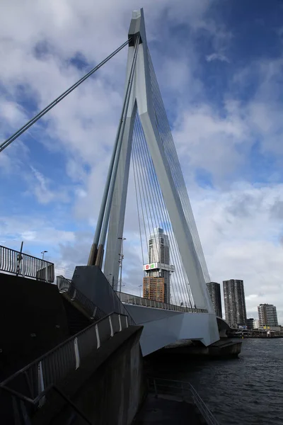 Rotterdam Pays Bas Octobre 2021 Pont Erasmus Sur Maas Meuse — Photo