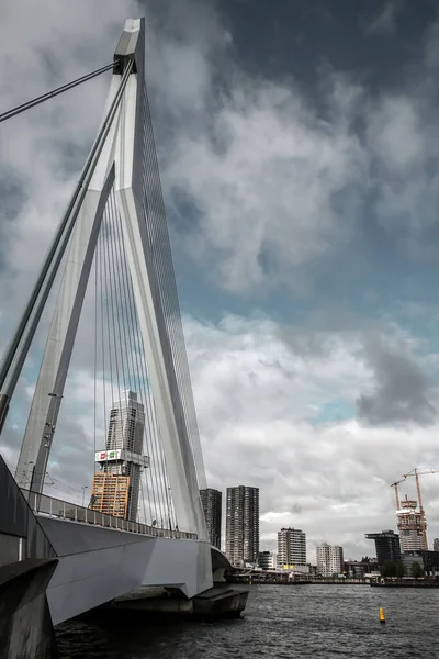 Rotterdam Nederland Oktober 2021 Erasmus Bridge Maas Eller Meuse River – stockfoto