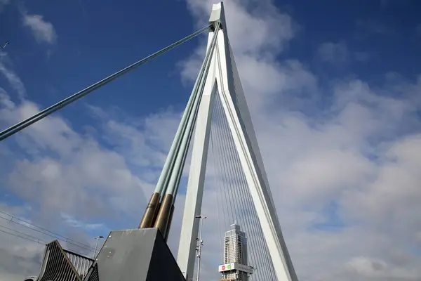 Rotterdam Pays Bas Octobre 2021 Pont Erasmus Sur Maas Meuse — Photo