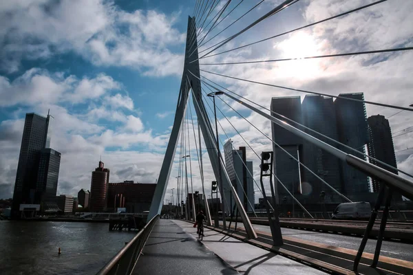 Rotterdam Holandia Października 2021 Most Erasmus Nad Rzeką Maas Lub — Zdjęcie stockowe