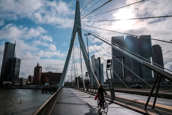 Rotterdam Países Bajos Octubre 2021 Puente Erasmus Sobre Río Maas — Foto de Stock