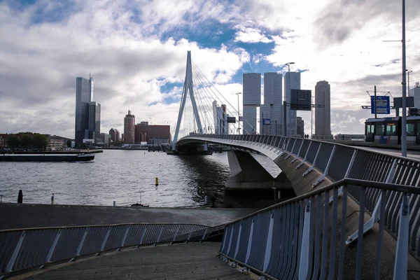 Роттердам Нідерланди Жовтня 2021 Міст Еразмус Через Маас Або Маас — стокове фото