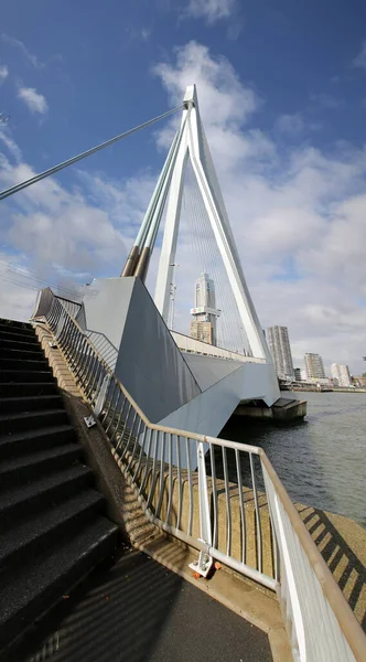 Rotterdam Paesi Bassi Ottobre 2021 Ponte Erasmus Maas Sul Fiume — Foto Stock