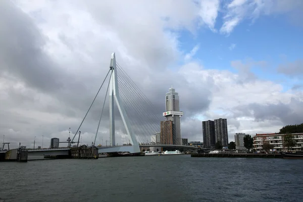 Roterdão Países Baixos Outubro 2021 Ponte Erasmus Sobre Rio Maas — Fotografia de Stock