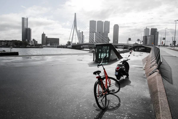 Rotterdam Oct 2021 Hollanda Rotterdam Siyah Islak Asfalta Park Edilmiş — Stok fotoğraf