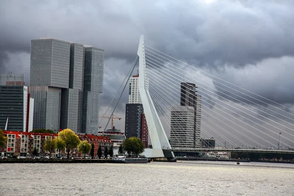 Rotterdam Países Bajos Octubre 2021 Puente Erasmus Sobre Río Maas —  Fotos de Stock