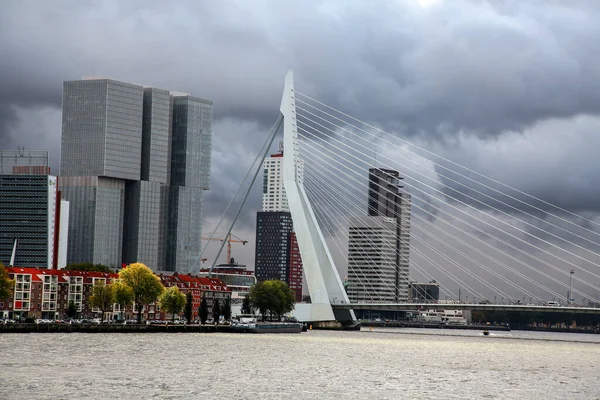 Roterdão Países Baixos Outubro 2021 Ponte Erasmus Sobre Rio Maas — Fotografia de Stock