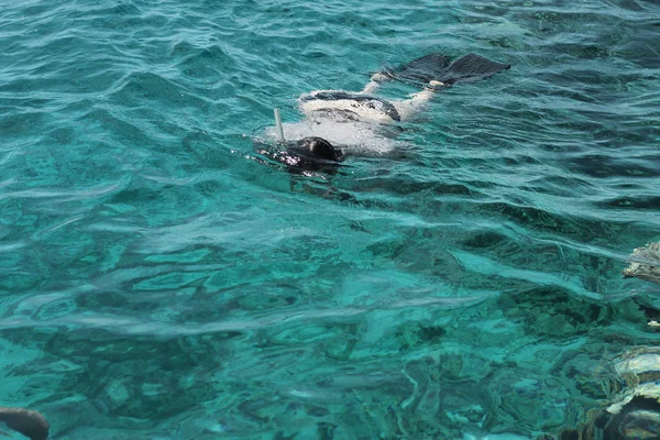 紅海の水に飛び込む女性のカメラマン — ストック写真