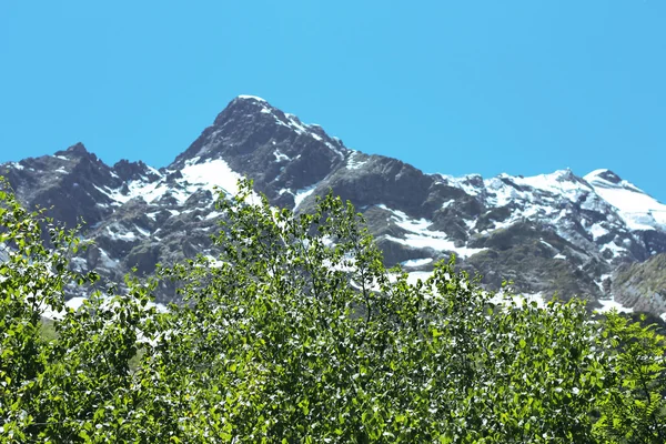 Montañas nevadas del Cáucaso y bosque verde bajo —  Fotos de Stock