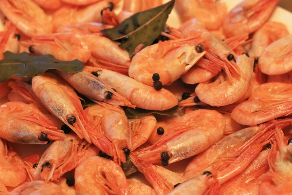 Un fondo de gambas hervidas listo para comer —  Fotos de Stock