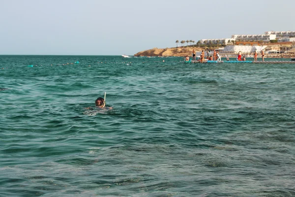 Woman photographer diving into water of Red sea — Stock Photo, Image