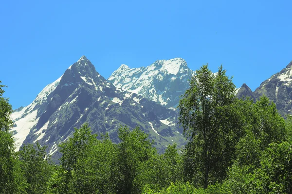 Montañas nevadas del Cáucaso y bosque verde bajo —  Fotos de Stock