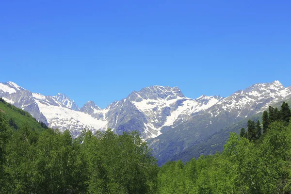 Cáucaso nevado montanhas e floresta verde sob — Fotografia de Stock