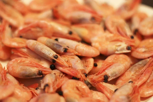 Un fond de crevettes bouillies prêt à manger — Photo