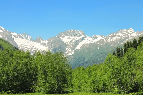Montagne caucasiche innevate e foresta verde sotto — Foto Stock