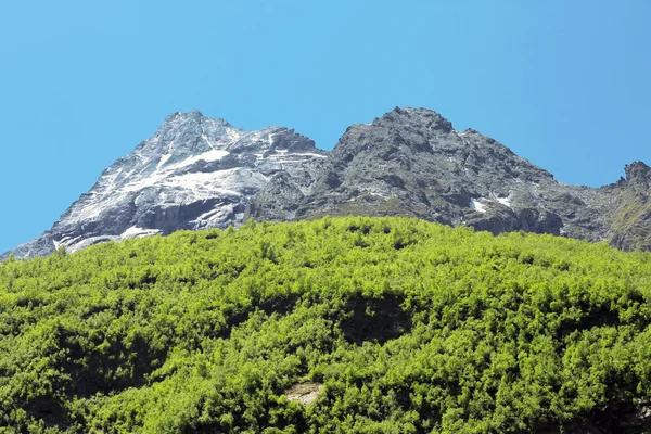 Snöiga Kaukasus berg och gröna skogen under — Stockfoto