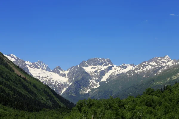 Cáucaso nevado montanhas e floresta verde sob — Fotografia de Stock