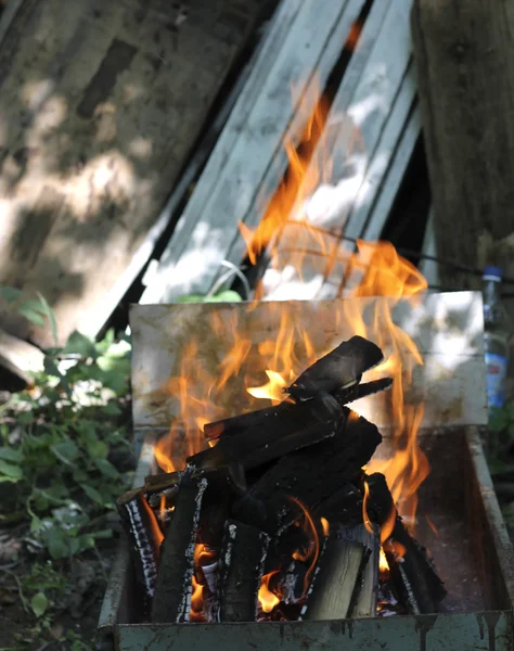 Burning bonfire outdoor on the summer garden — Stock Photo, Image