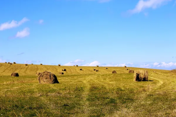 Straw roll bale on the field of farmland — Stock Photo, Image