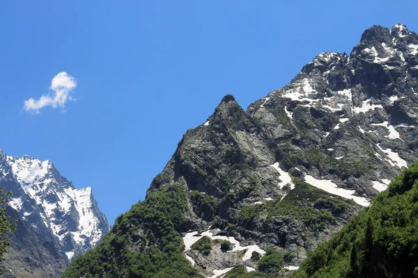 Montagnes de caucase enneigées et forêt verte sous — Photo