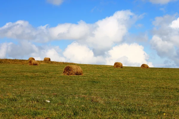 Straw roll bale on the field of farmland — Stock Photo, Image