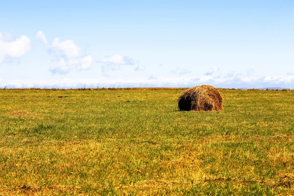 Straw roll bale on the field of farmland — Stock Photo, Image