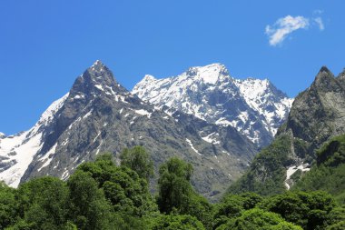 karlı Kafkas Dağları ve altında yeşil orman