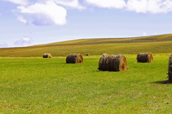 Straw roll bale on the field of farmland — Stock Photo, Image