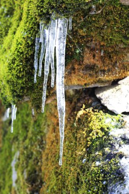 donmuş buz sarkıtları taş orman asılı