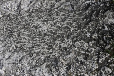 doğal taş ve yosun arka plan