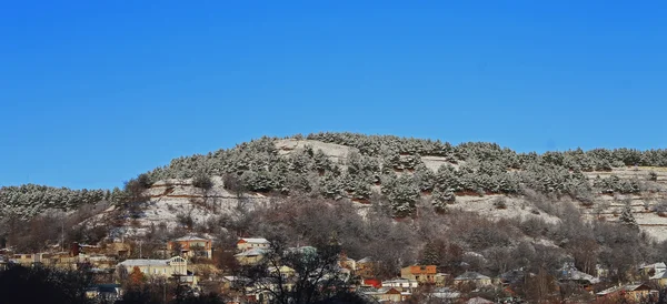 Modrá zimní oblohy a Kavkaz dřevo na východ slunce — Stock fotografie