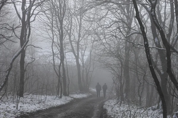 Människor gå på dimmiga väg i parken — Stockfoto