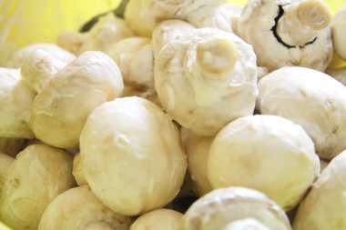champignon mantar içinde kızartma yemek için hazır