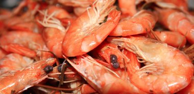 haşlanmış karides arka plan yemek için hazır