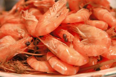 haşlanmış karides arka plan yemek için hazır