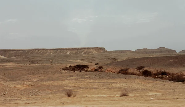 En egyptiska öknen och mysty himlen i dagsljus — Stockfoto