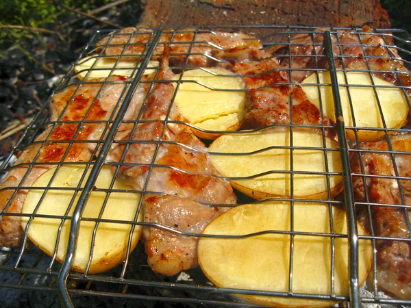 Churrasco frito na fogueira e carvão — Fotografia de Stock