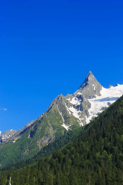 Кавказские Горы Вершины Снегом Чистым Голубым Небом Зеленым Деревом — стоковое фото