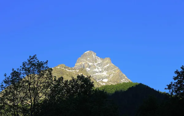 Cáucaso Montanhas Picos Sob Neve Céu Azul Claro Madeira Verde — Fotografia de Stock
