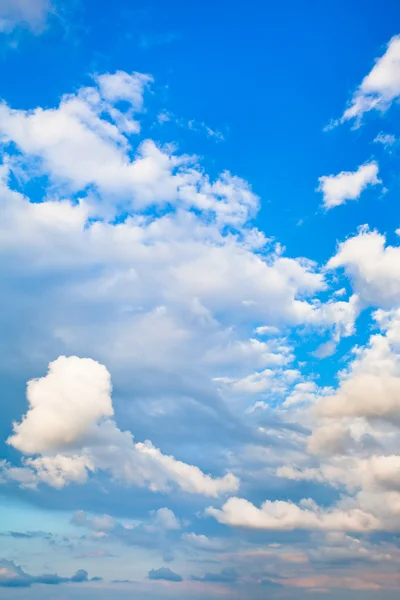 Evening cumulus clouds — Stock Photo, Image