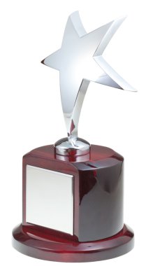 Gümüş Yıldız Ödülü