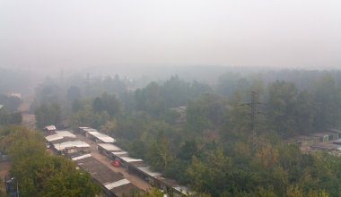 yaz günü şehir parkında altında duman