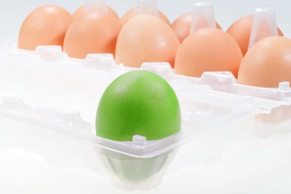 One separate green chicken egg — Stock Photo, Image