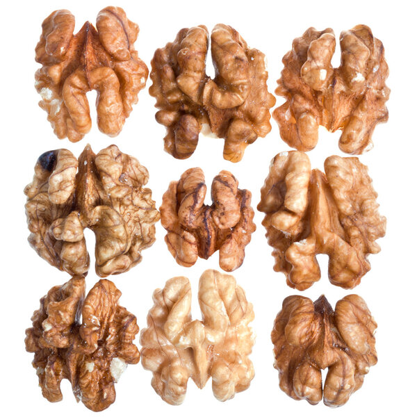 Fresh peeled walnut kernels