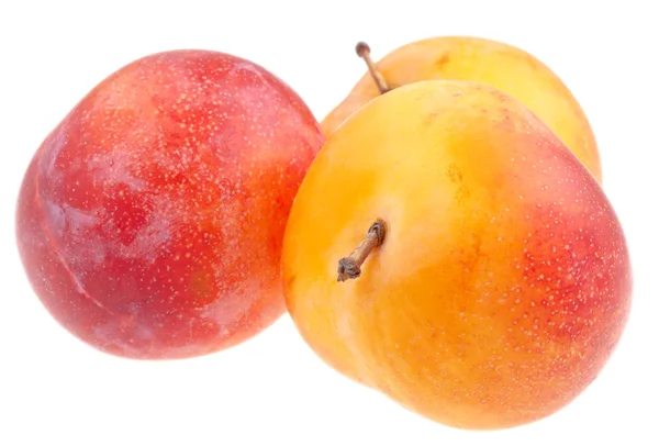 Fresh ripe yellow plums — Stock Photo, Image