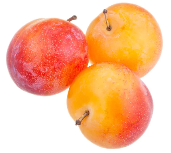 Três ameixas amarelas maduras frescas — Fotografia de Stock