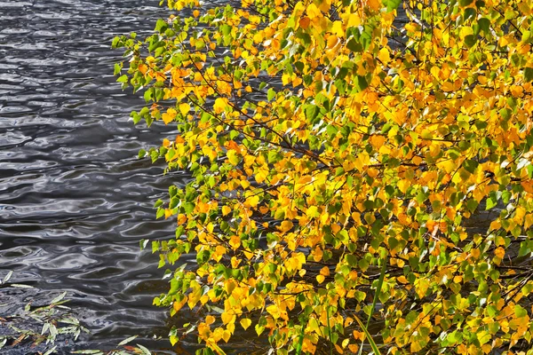 Autumn leaves under grey river — Stock Photo, Image